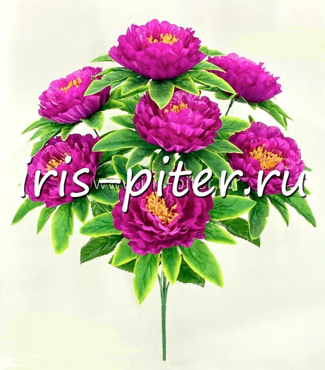 Букет пион 7г с юбкой