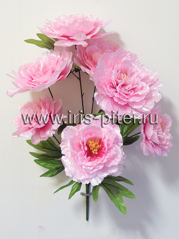 Букет пион 7г 