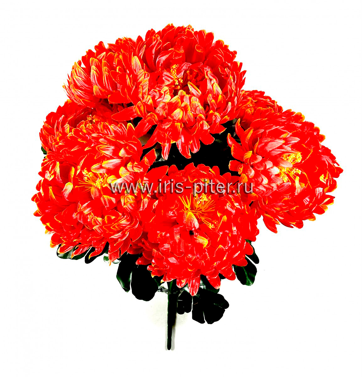 Букет хризантема 7г