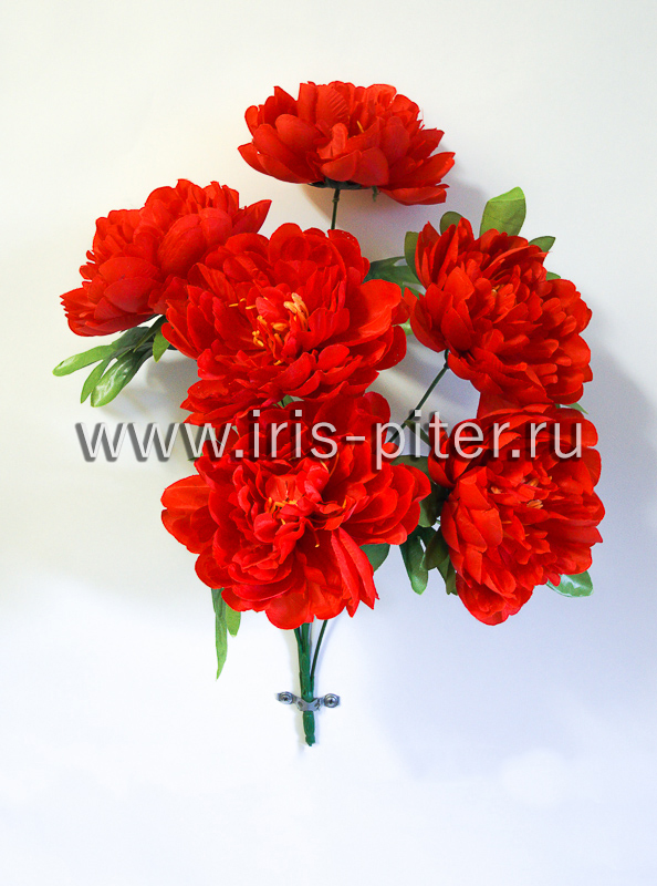 Букет пион 6г