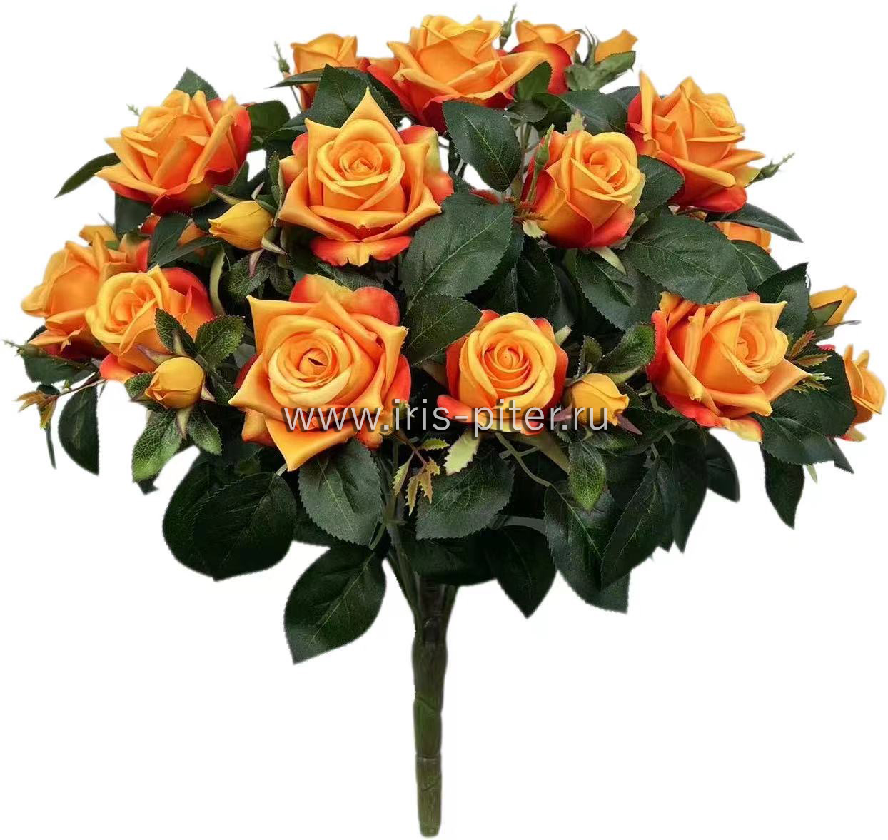 Букет роза 15г 6бут