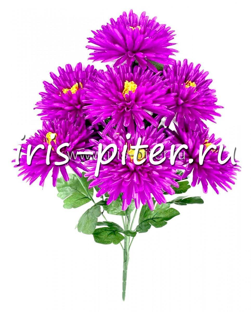 Букет хризантема 7г