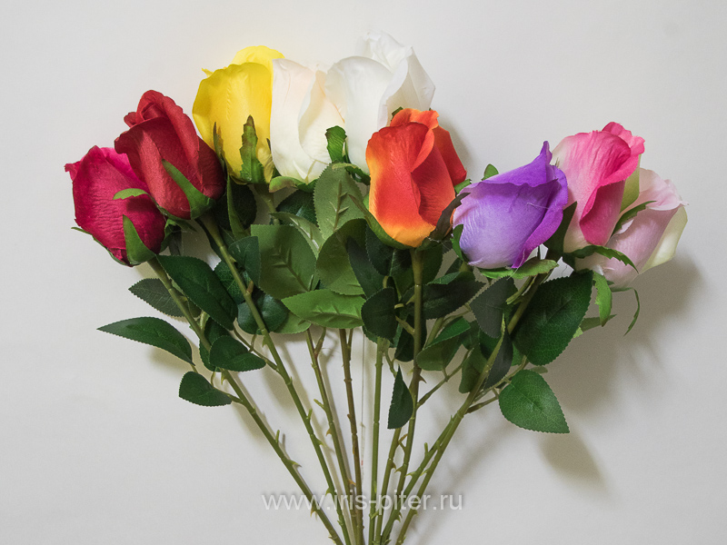 Роза бутон одиночная