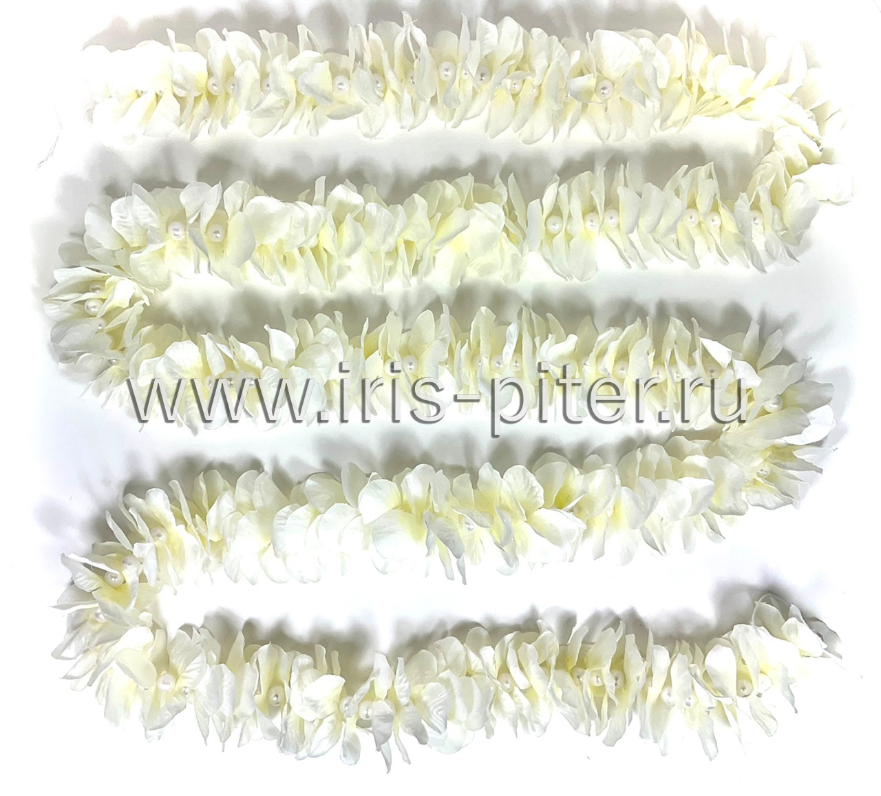 Лиана гавайская белая