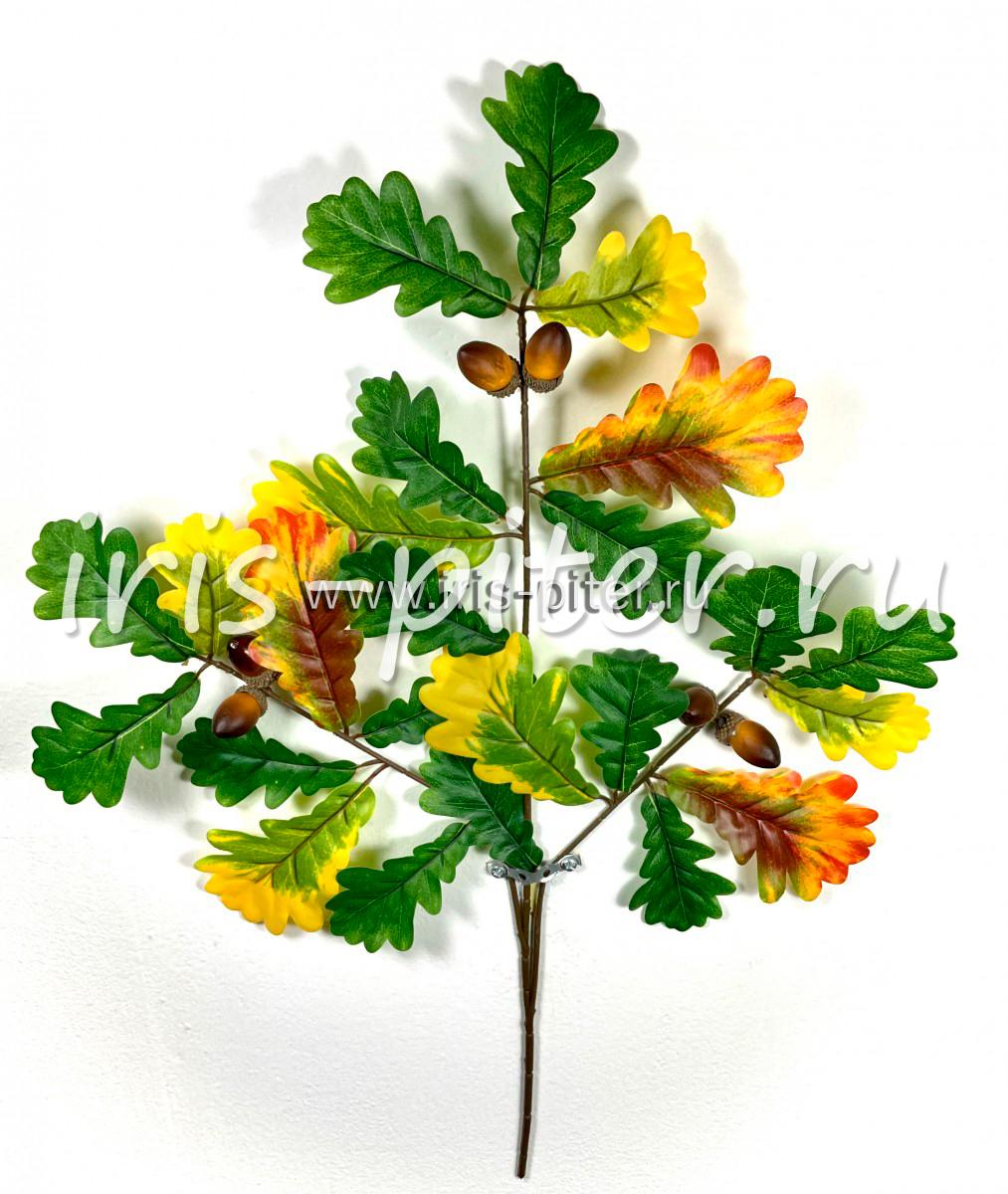 Ветка дуб зелено-желтый с желудями