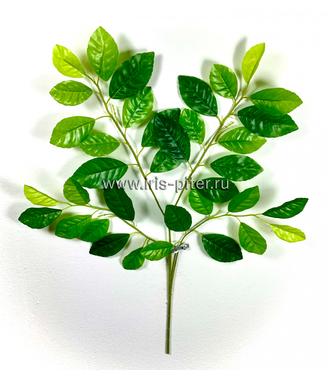 Ветка лимон