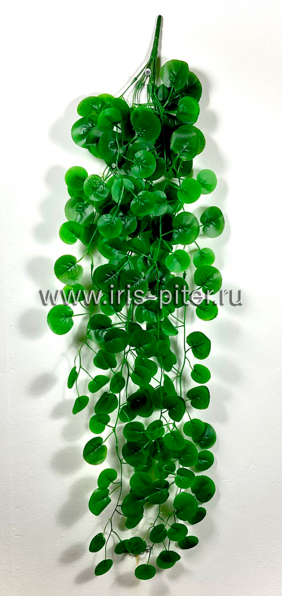 Ветка герань 9вет