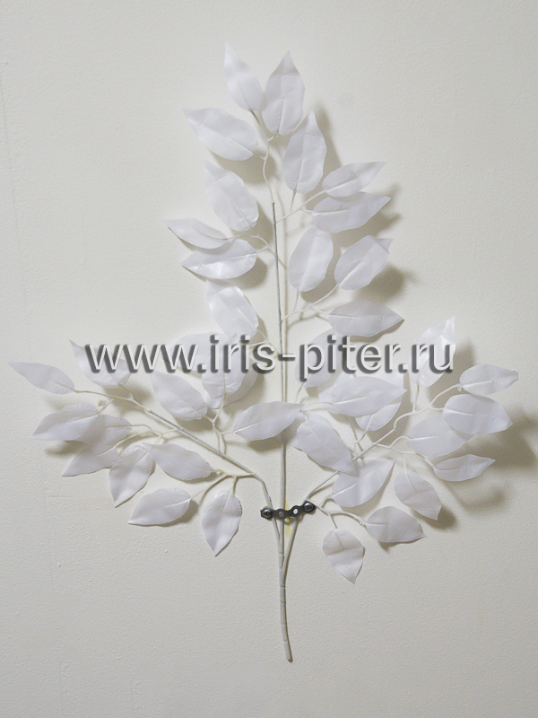 Ветка белый фикус свадебный 