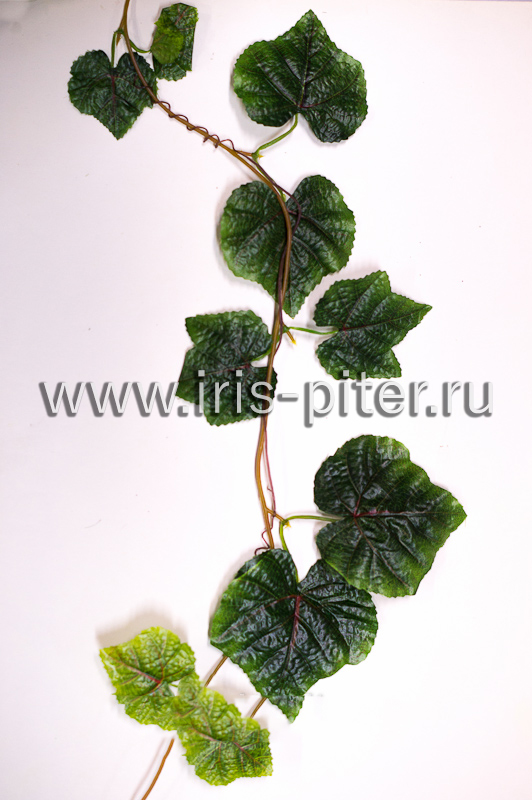 Лиана 5 веток виноград с прожилкой
