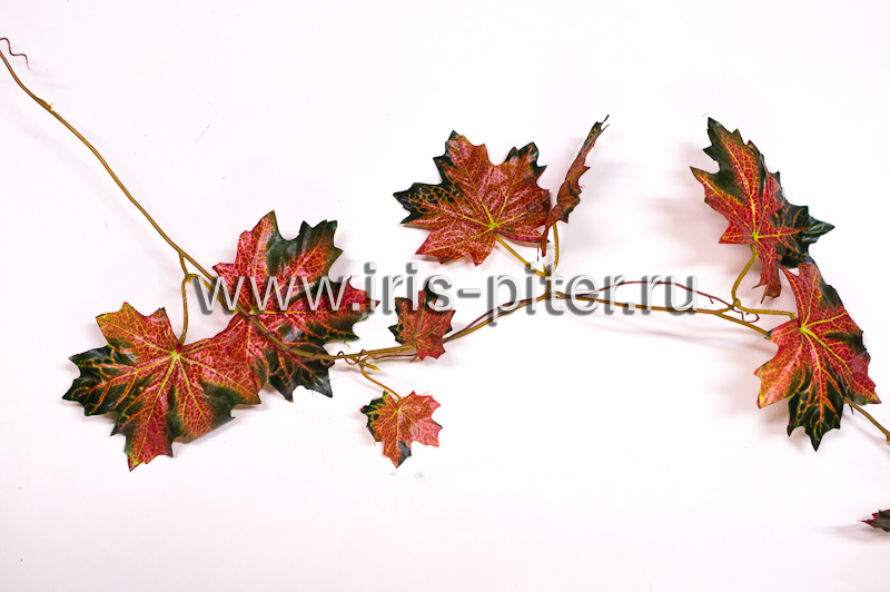 Лиана 5 веток клен красно-зеленый