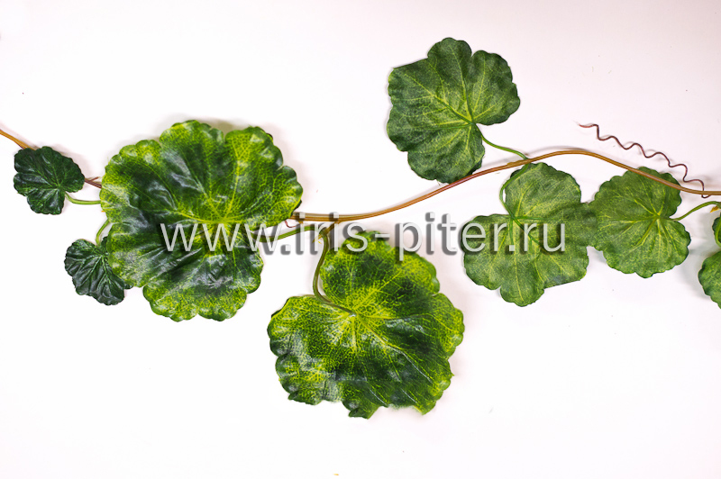 Лиана 5 веток герань