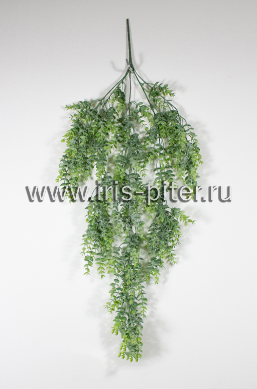 Ветка самшит с напылением 