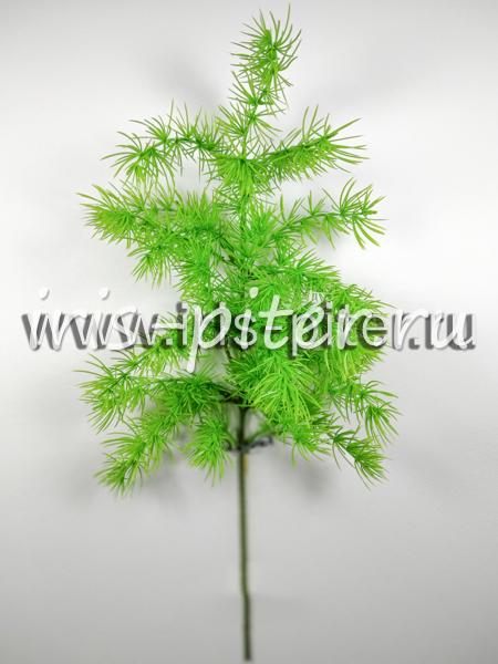 Ветка лиственница 