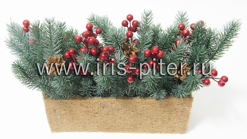 Кокосовый бокс с елочкой, ягодами и шишками