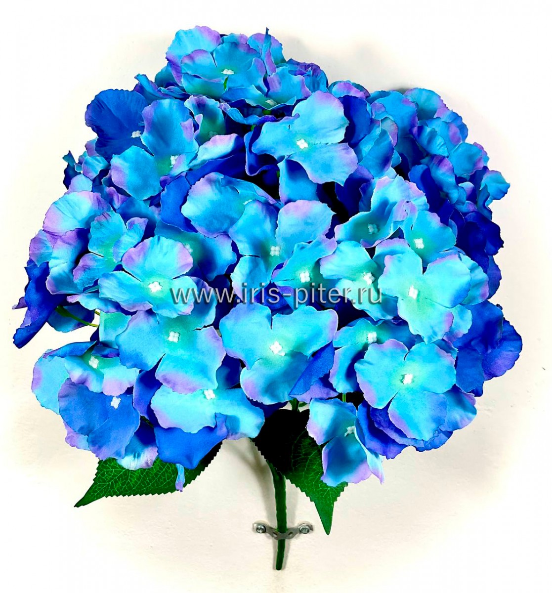 Букет гортензия 5вет
