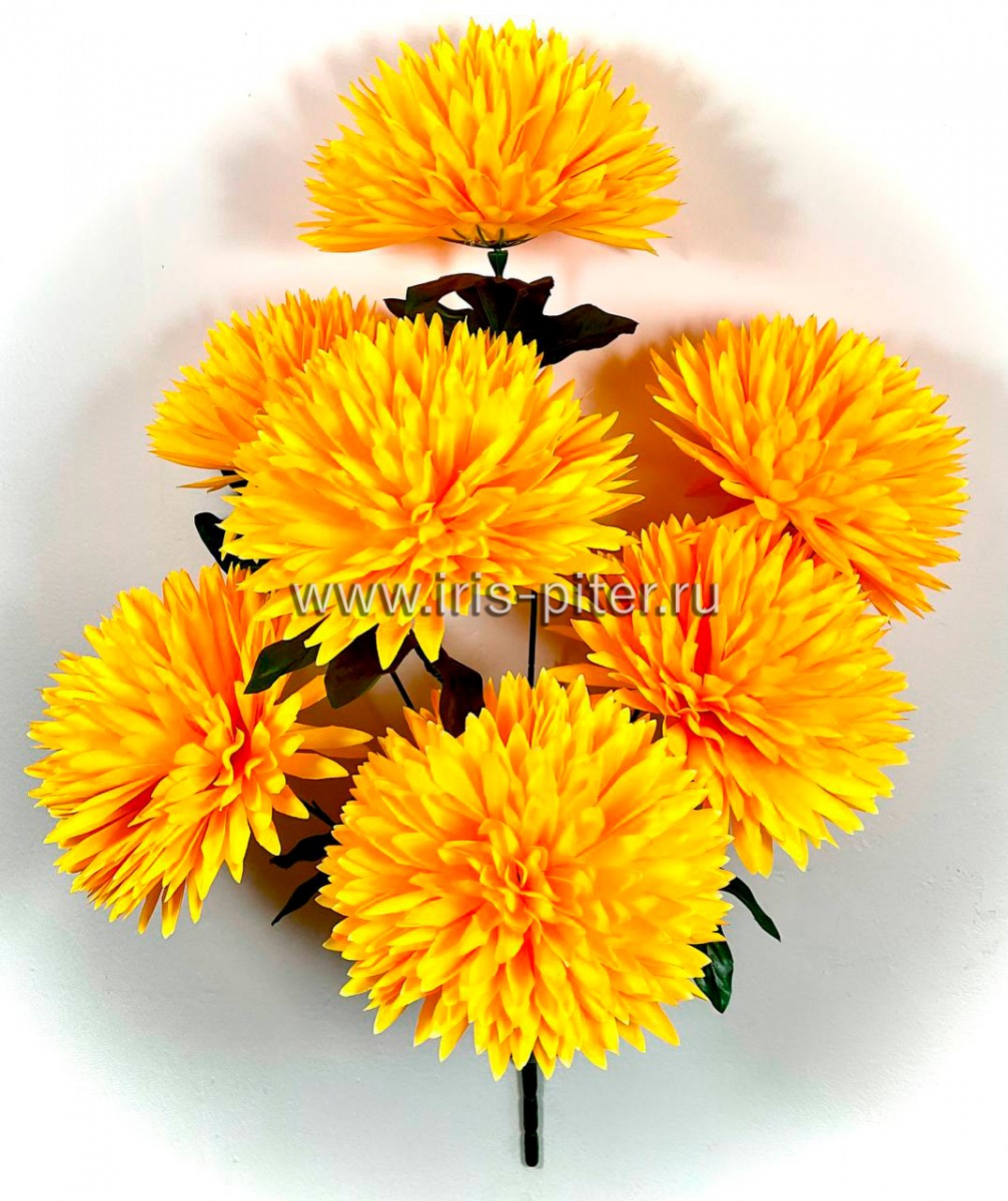 Букет хризантема 7г высокая