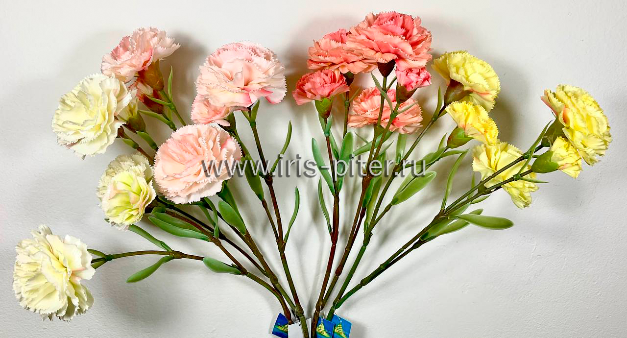 Ветка гвоздика 3г 2бут флористическая