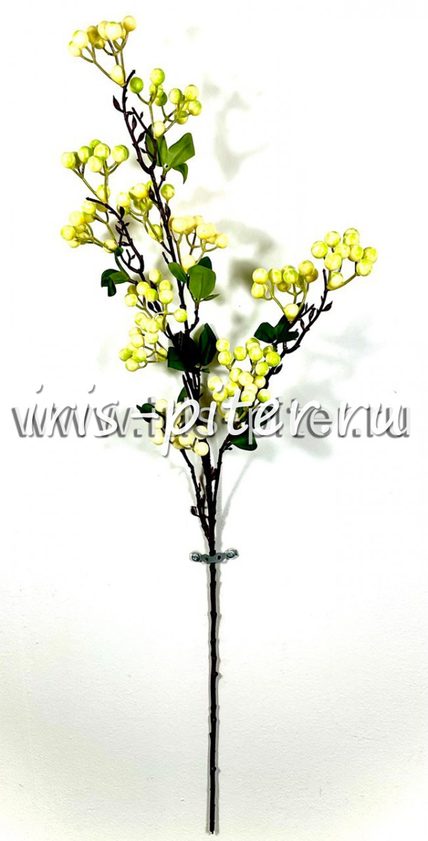 ветка ягоды зонтик бело-зеленая