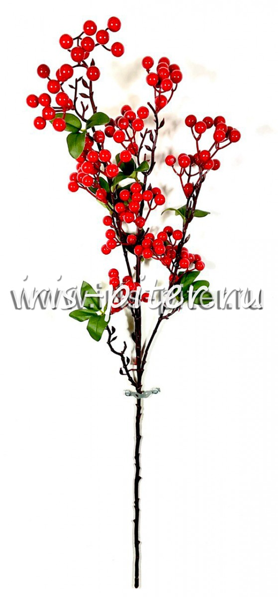 ветка ягоды зонтик красная 
