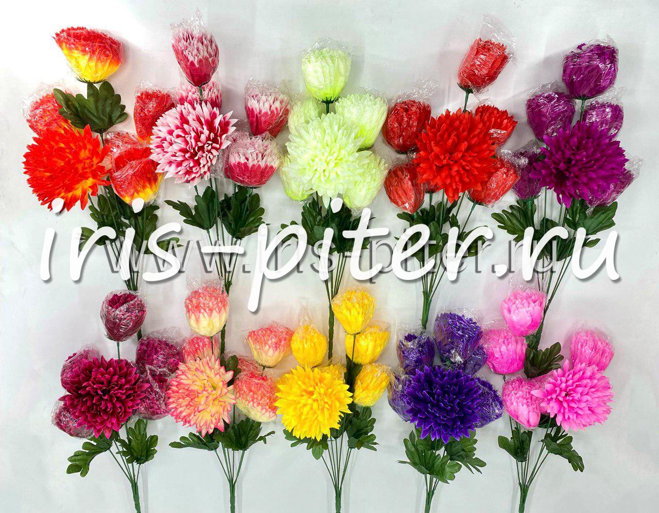 Букет хризантема 7г 