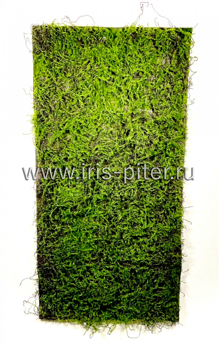 Панно мох