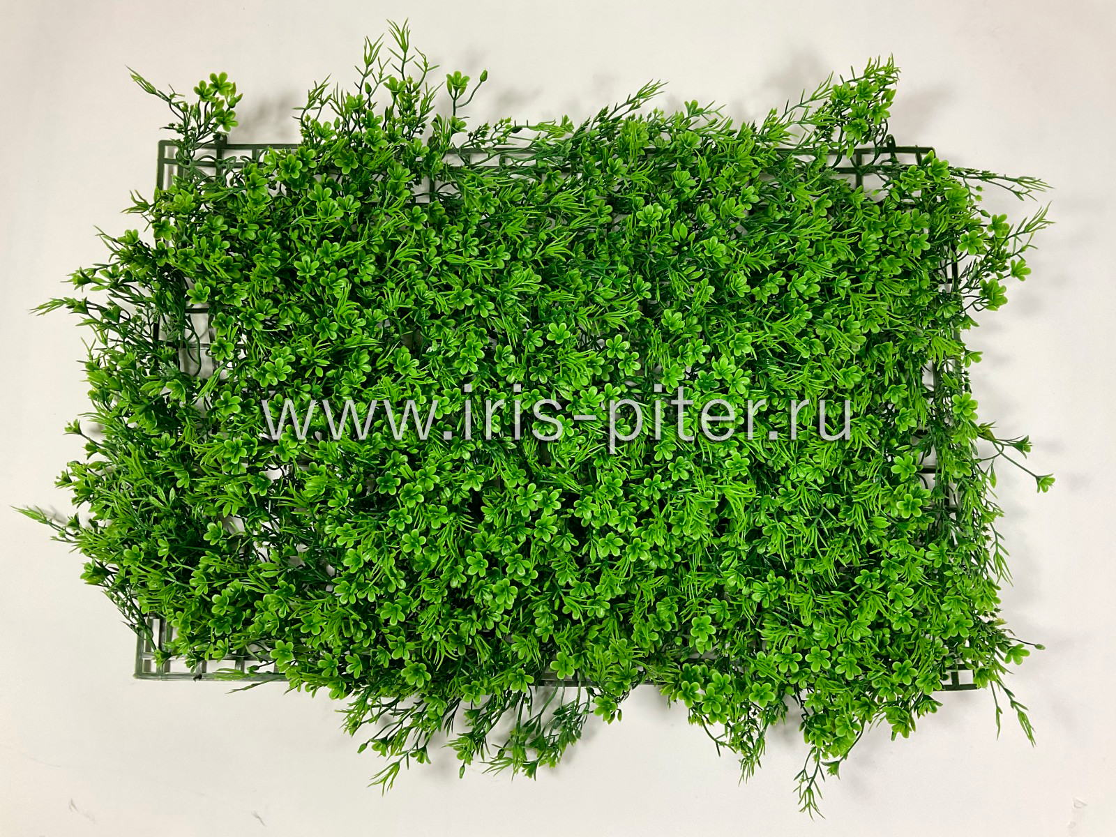 Газон луговой