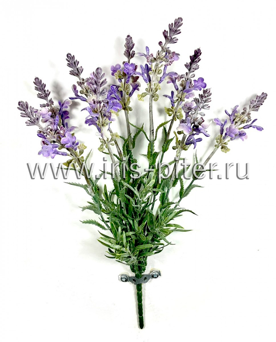 Шалфей 9веток