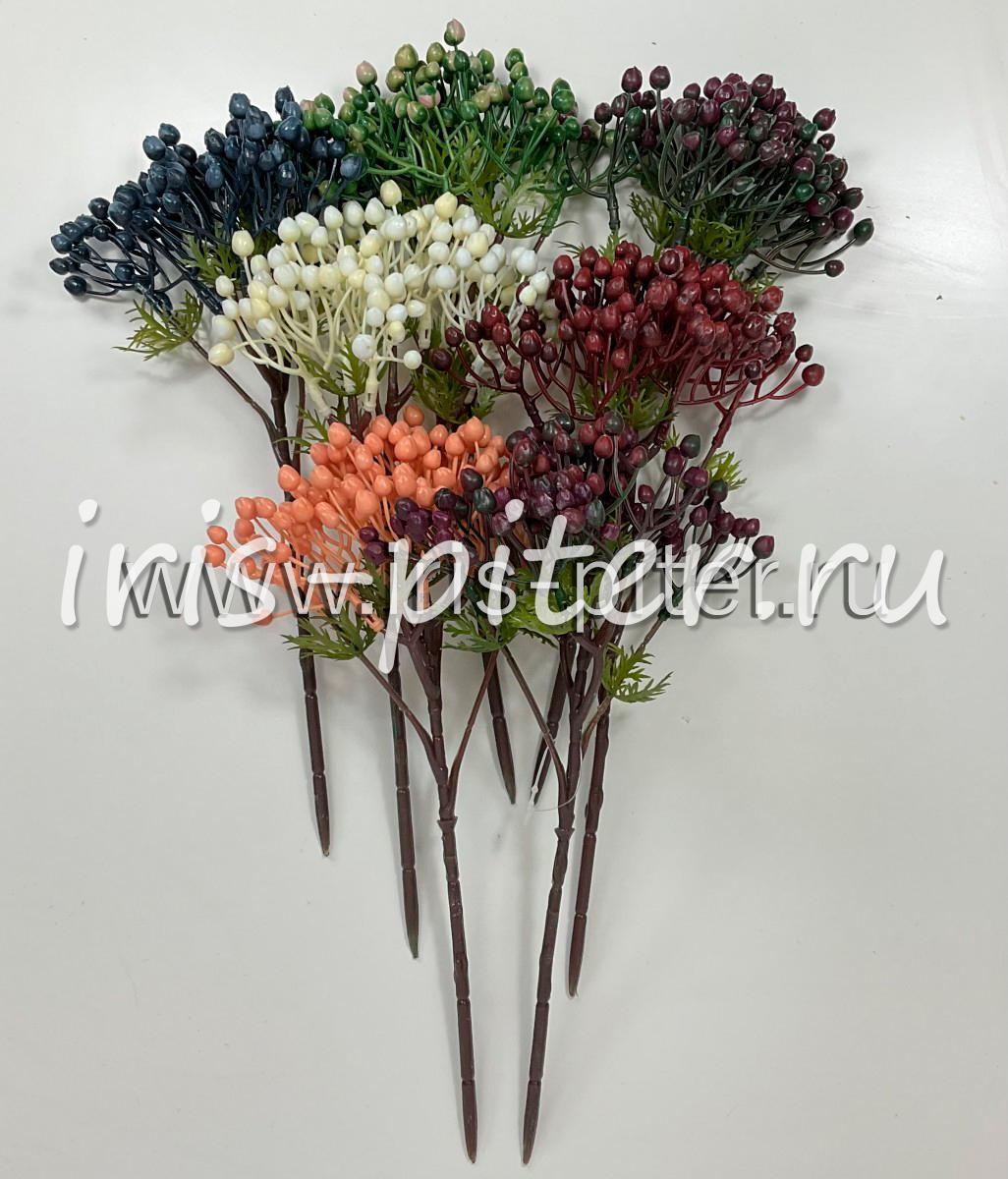 Ягоды скимия 5 вет