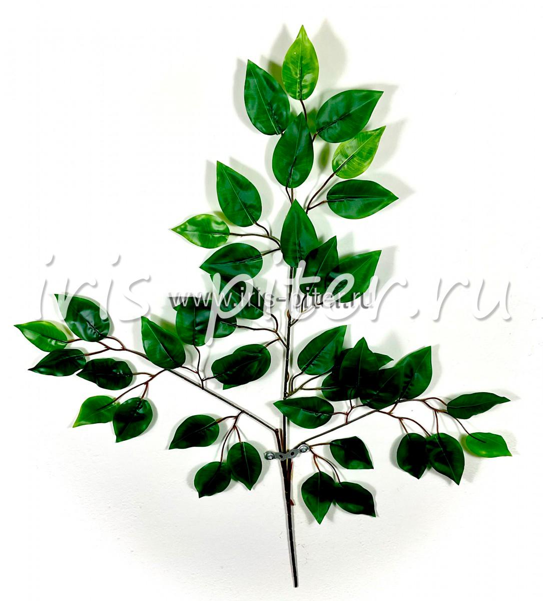 Ветка бенджамин латекс