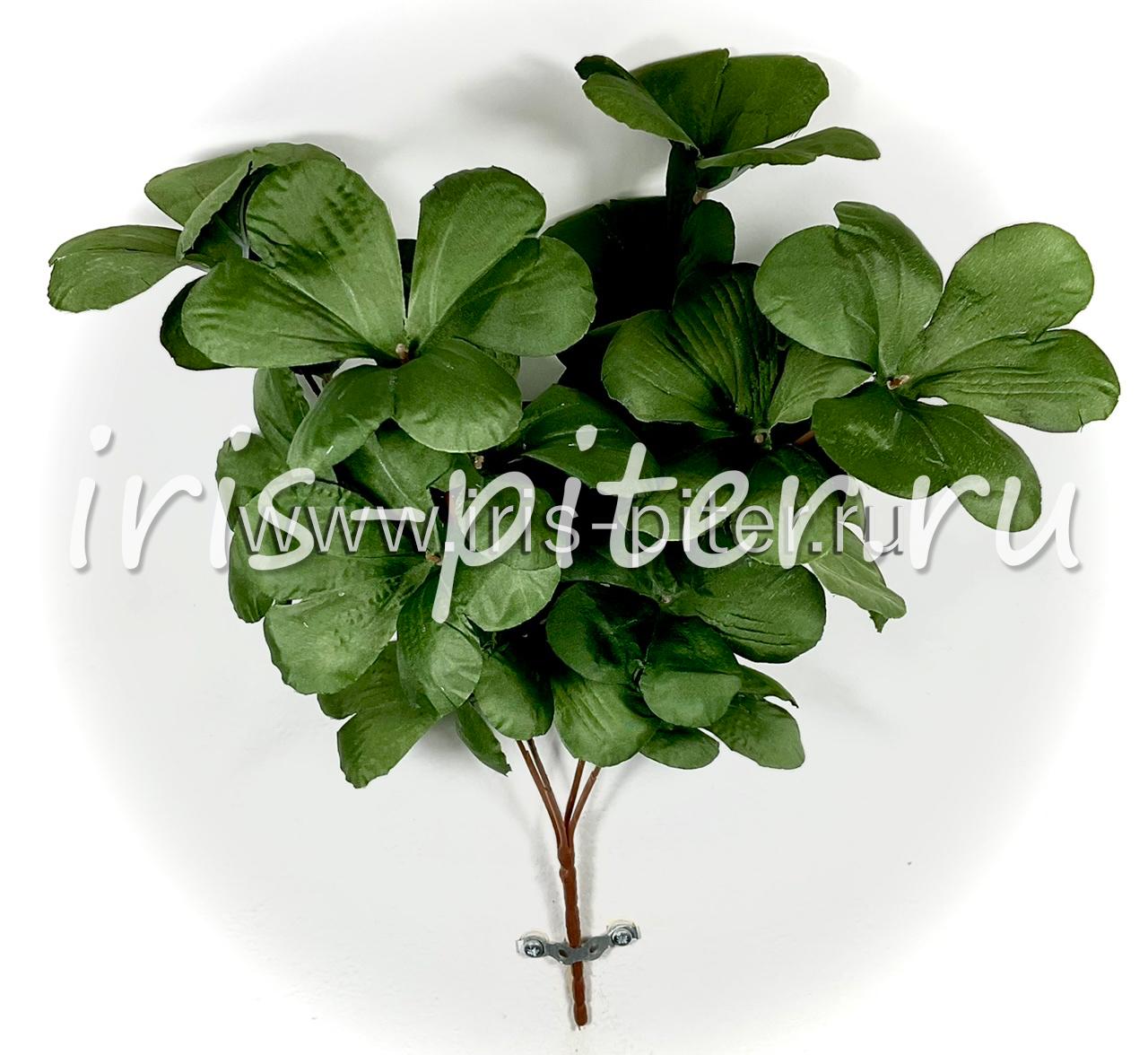 Куст клевер 4ветки