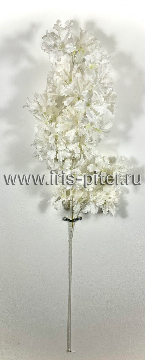 Ветка ларитус белая