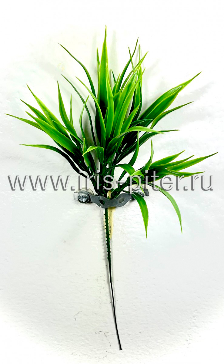 Травка 5веток