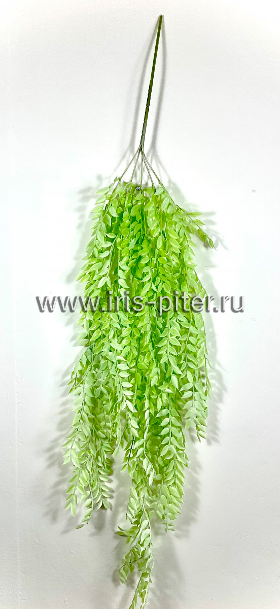 Ветка фисташка светло-зеленая