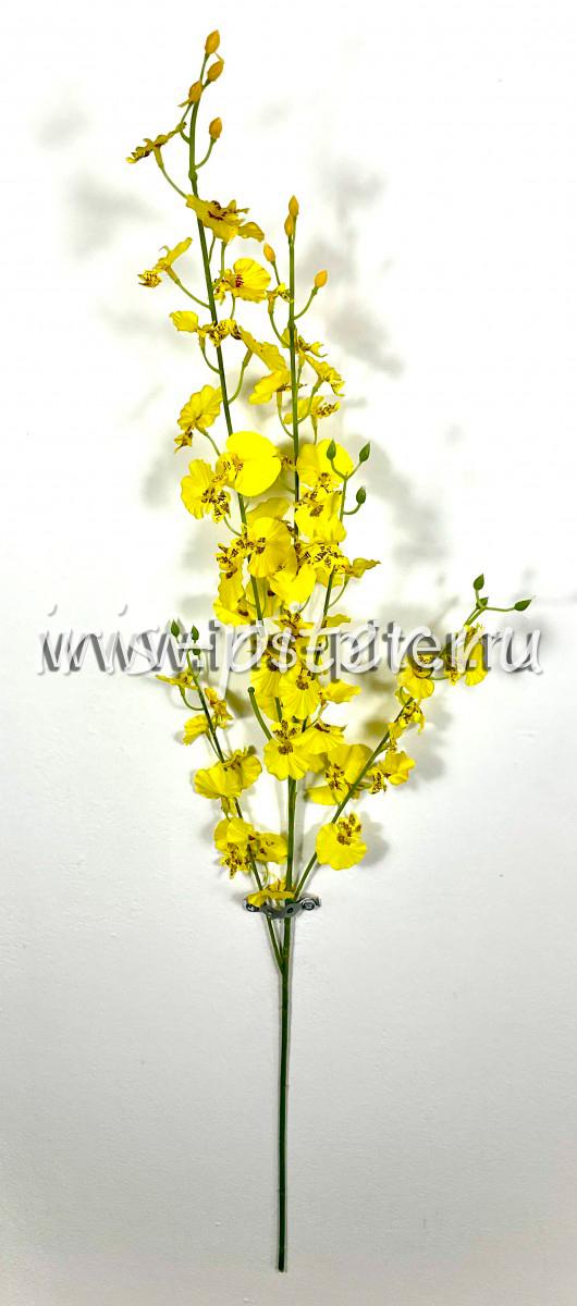 Ветка орхидея онцидиум 	