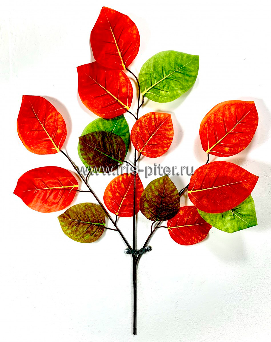 Ветка слива осенняя