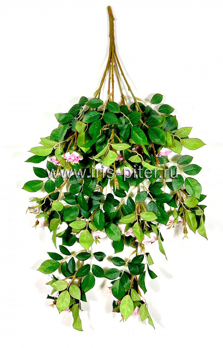 Ветка роза 6вет светло-розовая