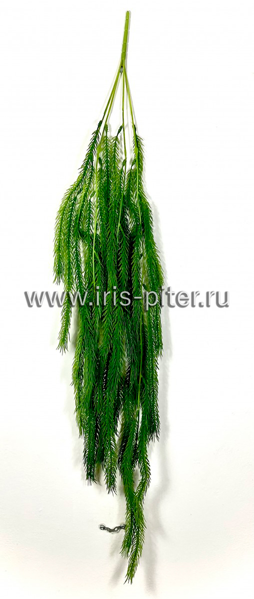 Ветка иглица 4вет