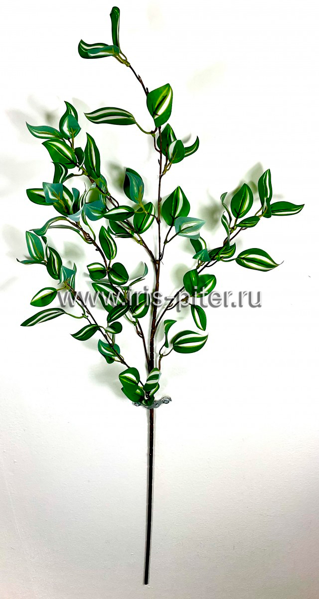 Ветка традесканция 29 листьев