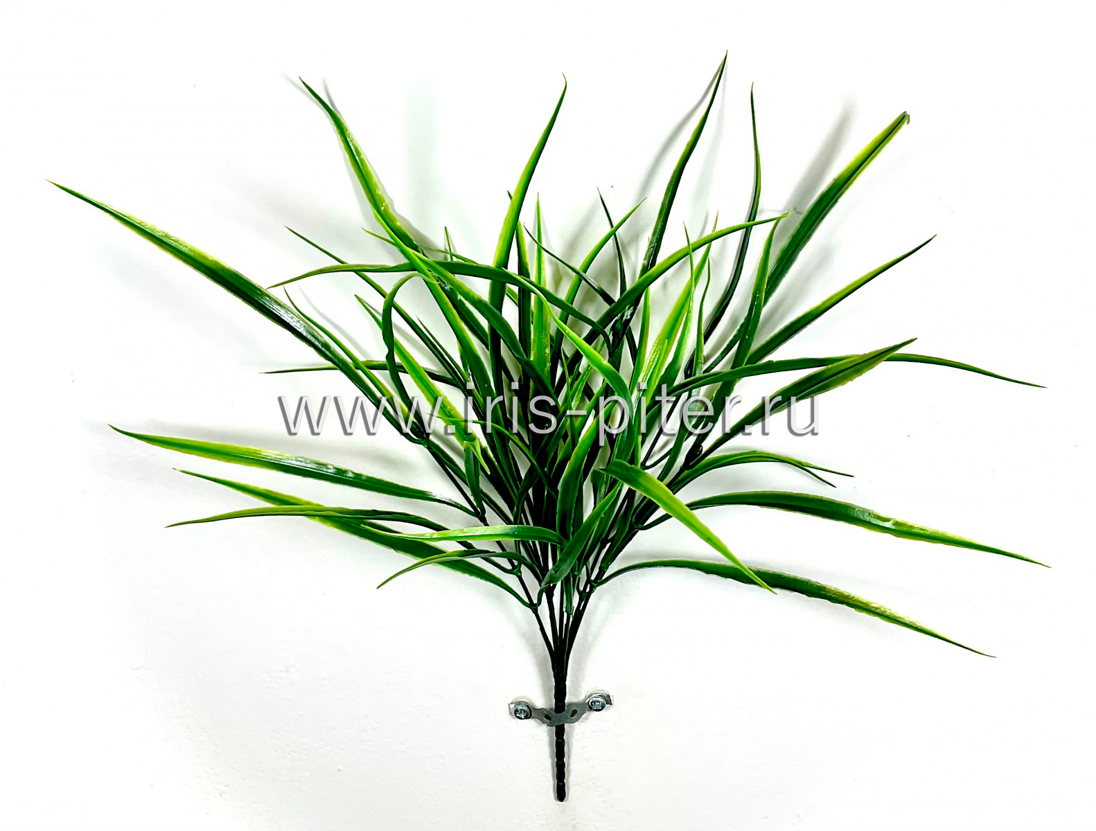 Трава 7вет 20 листьев