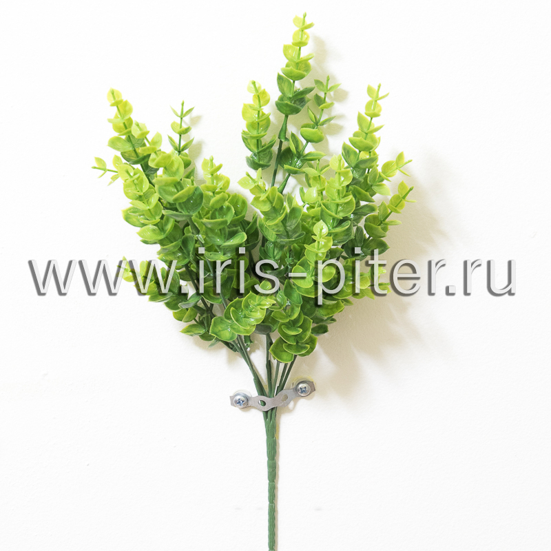 Куст Самшит 7вет зеленый 