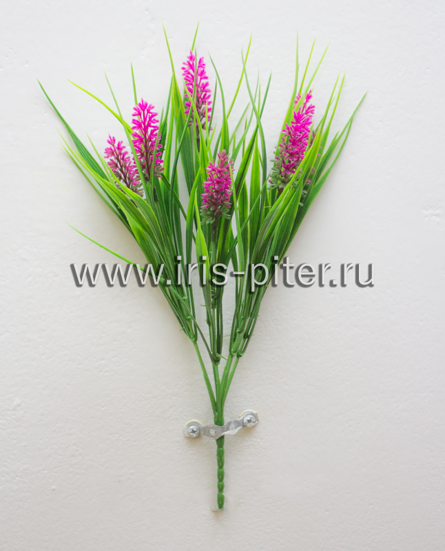 Трава с тимофеевкой 