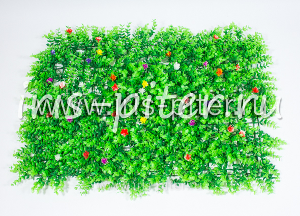 Газон самшит с цветком