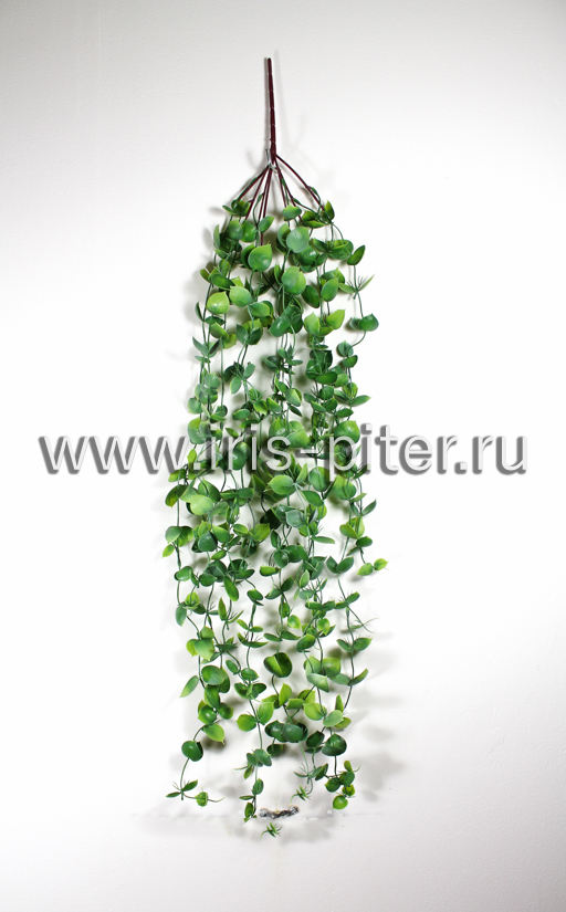 Лиана пеперомия 13вет пластм с напылением