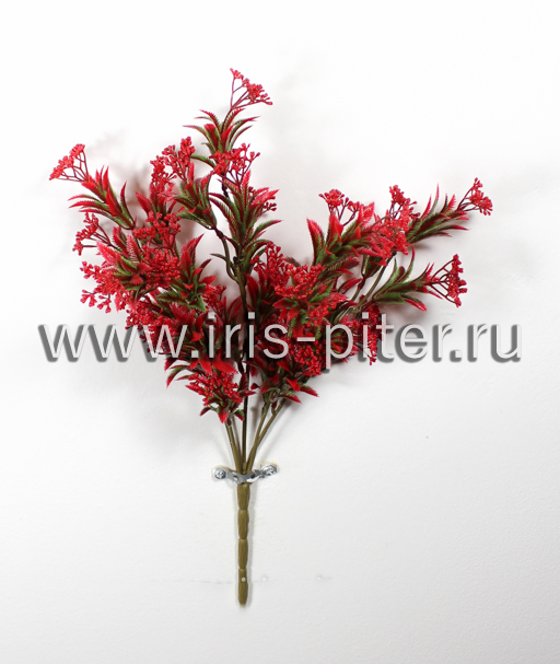 Спирея 5вет