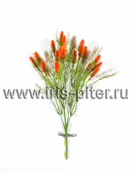 Тимофеевка 20г 