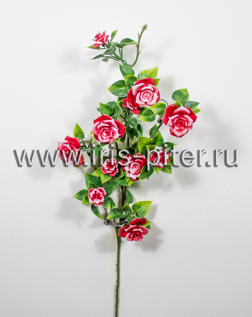 Ветка роза 6г 5бут