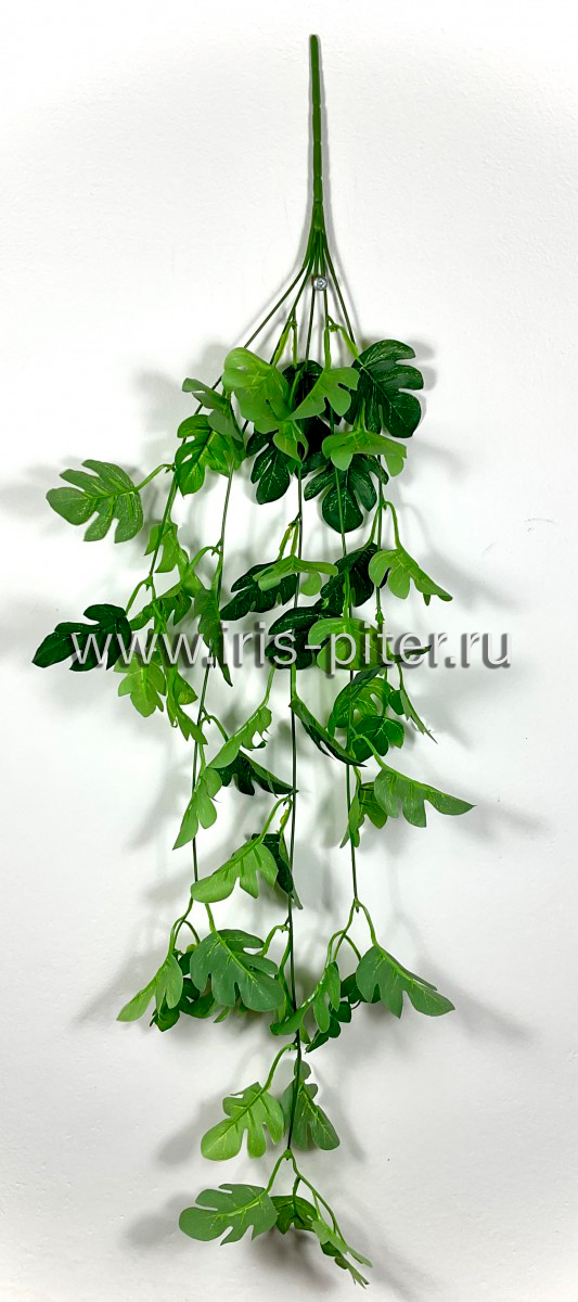 Ветка циссус 5вет