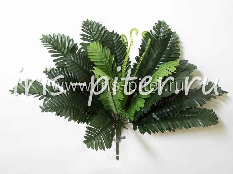 Папоротник 21 лист 3вайи