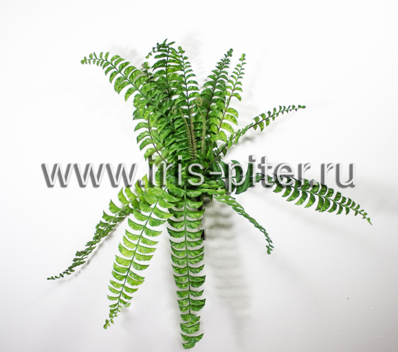 Куст папоротник 12веток латекс