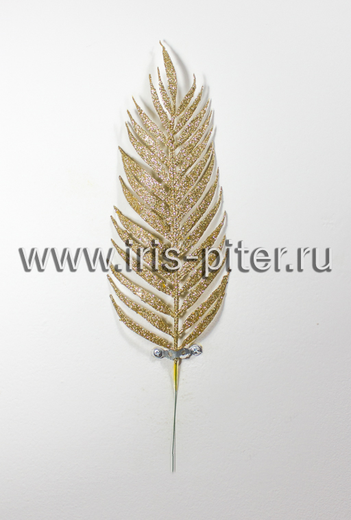 Папоротник хвощ мерц 